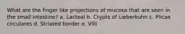 What are the finger like projections of mucosa that are seen in the small intestine? a. Lacteal b. Crypts of Lieberkuhn c. Plicae circulares d. Striated border e. Villi