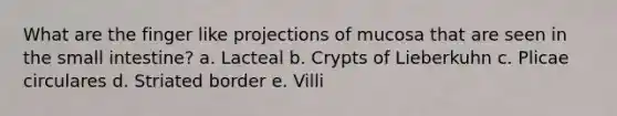 What are the finger like projections of mucosa that are seen in the small intestine? a. Lacteal b. Crypts of Lieberkuhn c. Plicae circulares d. Striated border e. Villi