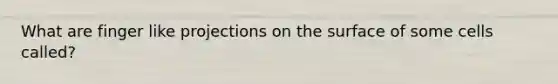 What are finger like projections on the surface of some cells called?