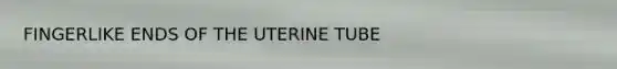 FINGERLIKE ENDS OF THE UTERINE TUBE