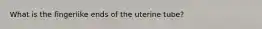 What is the fingerlike ends of the uterine tube?