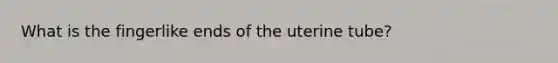 What is the fingerlike ends of the uterine tube?