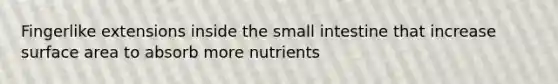 Fingerlike extensions inside the small intestine that increase surface area to absorb more nutrients