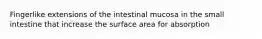 Fingerlike extensions of the intestinal mucosa in the small intestine that increase the surface area for absorption