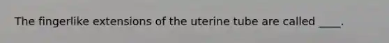 The fingerlike extensions of the uterine tube are called ____.