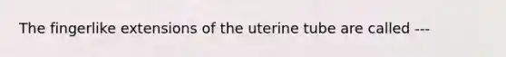 The fingerlike extensions of the uterine tube are called ---