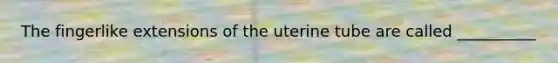 The fingerlike extensions of the uterine tube are called __________