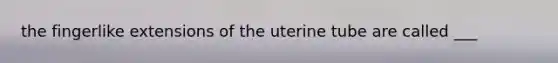 the fingerlike extensions of the uterine tube are called ___