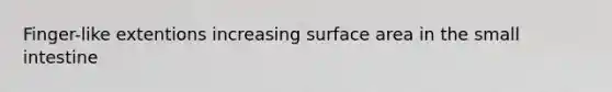 Finger-like extentions increasing surface area in the small intestine