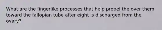 What are the fingerlike processes that help propel the over them toward the fallopian tube after eight is discharged from the ovary?