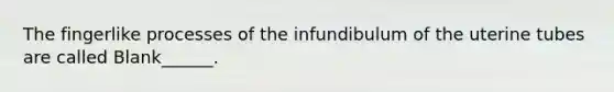 The fingerlike processes of the infundibulum of the uterine tubes are called Blank______.