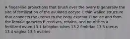 A finger-like projections that brush over the ovary B generally the site of fertilization of the ovulated oocyte C thin walled structure that connects the uterus to the body exterior D house and form the female gametes E receives, retains, and nourishes a fertilized ovum 13.1 fallopian tubes 13.2 fimbriae 13.3 uterus 13.4 vagina 13.5 ovaries