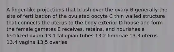 A finger-like projections that brush over the ovary B generally the site of fertilization of the ovulated oocyte C thin walled structure that connects the uterus to the body exterior D house and form the female gametes E receives, retains, and nourishes a fertilized ovum 13.1 fallopian tubes 13.2 fimbriae 13.3 uterus 13.4 vagina 13.5 ovaries