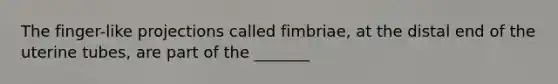 The finger-like projections called fimbriae, at the distal end of the uterine tubes, are part of the _______