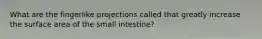 What are the fingerlike projections called that greatly increase the surface area of the small intestine?