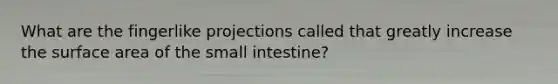 What are the fingerlike projections called that greatly increase the surface area of the small intestine?