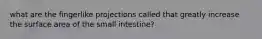 what are the fingerlike projections called that greatly increase the surface area of the small intestine?