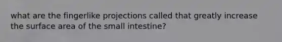 what are the fingerlike projections called that greatly increase the surface area of the small intestine?