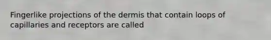 Fingerlike projections of <a href='https://www.questionai.com/knowledge/kEsXbG6AwS-the-dermis' class='anchor-knowledge'>the dermis</a> that contain loops of capillaries and receptors are called