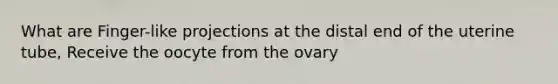 What are Finger-like projections at the distal end of the uterine tube, Receive the oocyte from the ovary