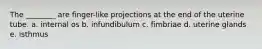 The ________ are finger-like projections at the end of the uterine tube. a. internal os b. infundibulum c. fimbriae d. uterine glands e. isthmus