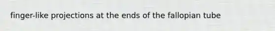 finger-like projections at the ends of the fallopian tube