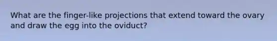 What are the finger-like projections that extend toward the ovary and draw the egg into the oviduct?