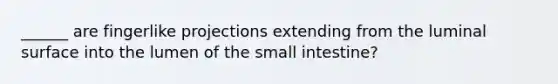 ______ are fingerlike projections extending from the luminal surface into the lumen of the small intestine?