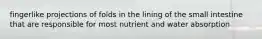 fingerlike projections of folds in the lining of the small intestine that are responsible for most nutrient and water absorption