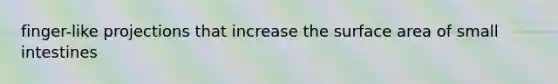finger-like projections that increase the surface area of small intestines