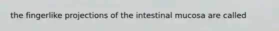 the fingerlike projections of the intestinal mucosa are called