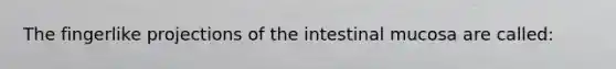 The fingerlike projections of the intestinal mucosa are called: