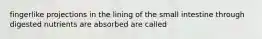fingerlike projections in the lining of the small intestine through digested nutrients are absorbed are called
