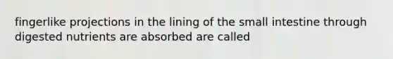 fingerlike projections in the lining of <a href='https://www.questionai.com/knowledge/kt623fh5xn-the-small-intestine' class='anchor-knowledge'>the small intestine</a> through digested nutrients are absorbed are called