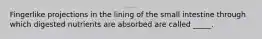 Fingerlike projections in the lining of the small intestine through which digested nutrients are absorbed are called _____.