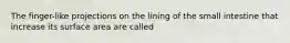 The finger-like projections on the lining of the small intestine that increase its surface area are called