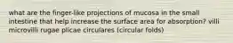 what are the finger-like projections of mucosa in the small intestine that help increase the surface area for absorption? villi microvilli rugae plicae circulares (circular folds)