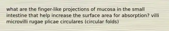 what are the finger-like projections of mucosa in <a href='https://www.questionai.com/knowledge/kt623fh5xn-the-small-intestine' class='anchor-knowledge'>the small intestine</a> that help increase the <a href='https://www.questionai.com/knowledge/kEtsSAPENL-surface-area' class='anchor-knowledge'>surface area</a> for absorption? villi microvilli rugae plicae circulares (circular folds)