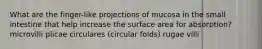 What are the finger-like projections of mucosa in the small intestine that help increase the surface area for absorption? microvilli plicae circulares (circular folds) rugae villi