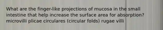 What are the finger-like projections of mucosa in the small intestine that help increase the surface area for absorption? microvilli plicae circulares (circular folds) rugae villi