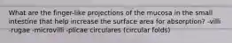 What are the finger-like projections of the mucosa in the small intestine that help increase the surface area for absorption? -villi -rugae -microvilli -plicae circulares (circular folds)