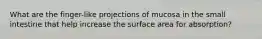 What are the finger-like projections of mucosa in the small intestine that help increase the surface area for absorption?