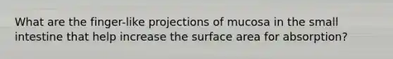 What are the finger-like projections of mucosa in the small intestine that help increase the surface area for absorption?