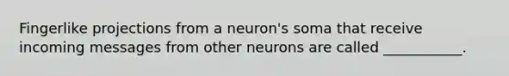 Fingerlike projections from a neuron's soma that receive incoming messages from other neurons are called ___________.