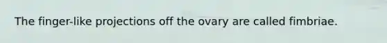 The finger-like projections off the ovary are called fimbriae.