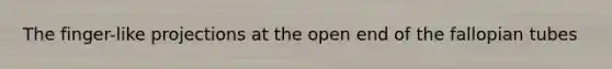 The finger-like projections at the open end of the fallopian tubes