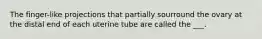 The finger-like projections that partially sourround the ovary at the distal end of each uterine tube are called the ___.