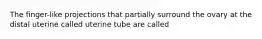 The finger-like projections that partially surround the ovary at the distal uterine called uterine tube are called