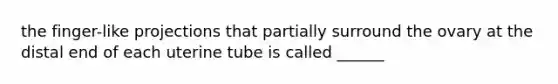 the finger-like projections that partially surround the ovary at the distal end of each uterine tube is called ______