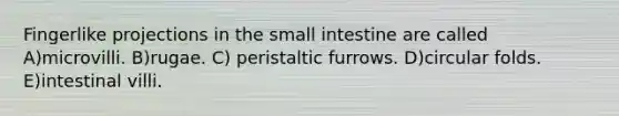 Fingerlike projections in the small intestine are called A)microvilli. B)rugae. C) peristaltic furrows. D)circular folds. E)intestinal villi.